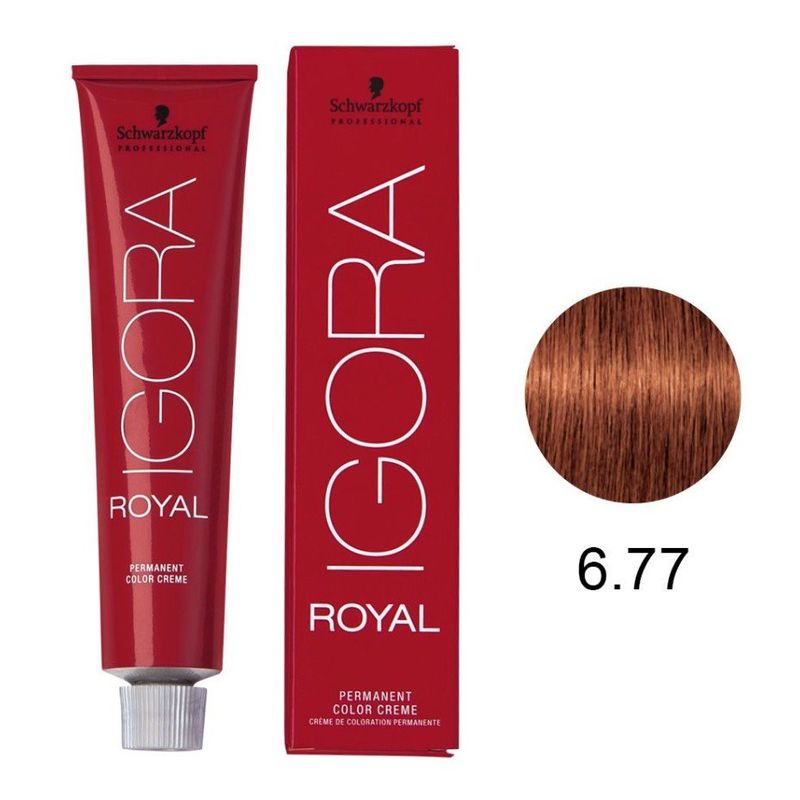 Igora Royal Tintura - 6.77 - LOURO ESCURO COBRE EXTR : : Beleza