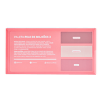 Paleta-Pele-de-Milhoes-02---Dailus-787445