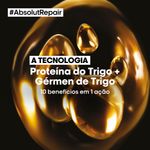 Oleo-30ml-Absolut-Repair-10-em-01---Loreal-Profissional-800550