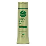 Shampoo-300ml-Jaborandi---Haskell-429848