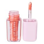 Lip-Gloss-5ml-Flame---Ruby-Rose-804007