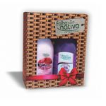 Kit-Sabonete-Liquido-500ml---Locao-Hidr.-480ml-Rosa-Mosqueta---Folha-Nativa-806060