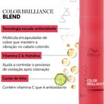 Shampoo-250ml-Brilliance-Invigo---Wella-Profissional-684333