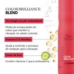 Mascara-150ml-Brilliance-Invigo---Wella-Profissional-684376