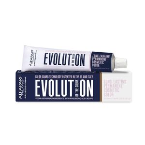 Tinta Evolution 60ml 9.1 Louro Clarissimo Cinza - Alfaparf