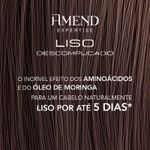 Mascara-300g-Liso-Descomplicado---Amend-544418