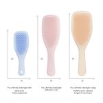 Escova-De-Cabelo-Wet-Detangler-Fine-e-Fragile---Tangle-Teezer-810221