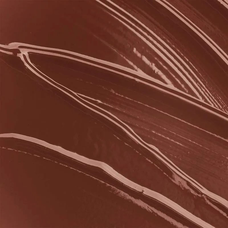 Gloss Labial 4ml Mocha Mousse - Dailus